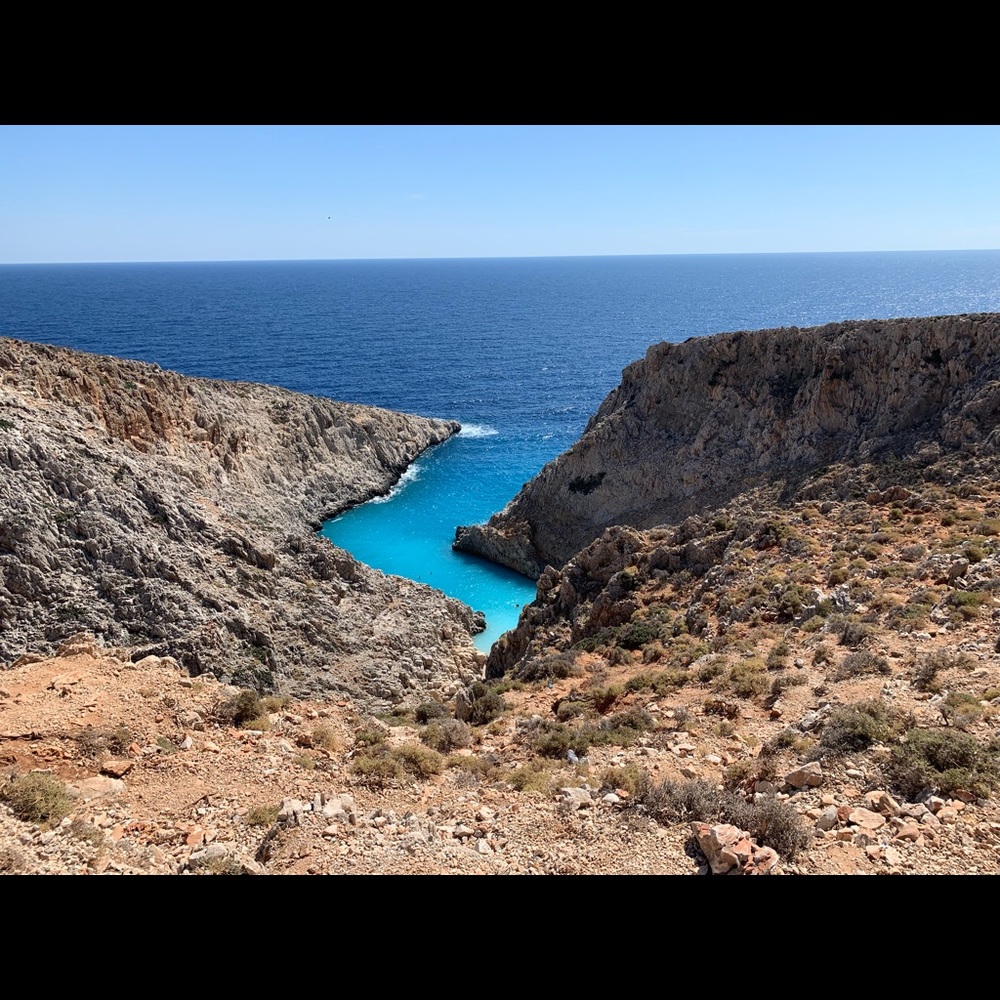 Meet your Posher, Leila